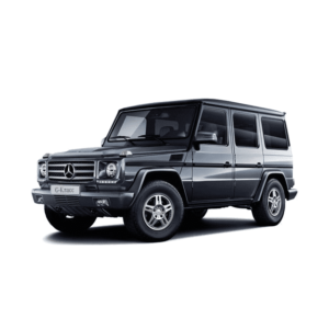 Выкуп остатков запчастей Mercedes Mercedes G-klasse